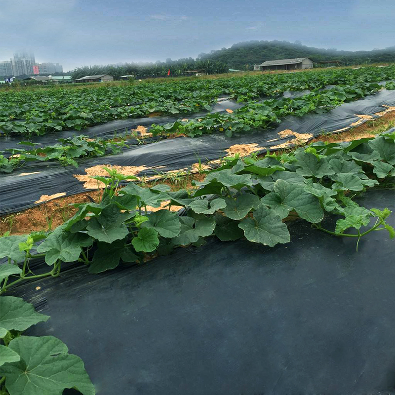 宁夏土工布,宁夏土工膜,复合土工膜厂家