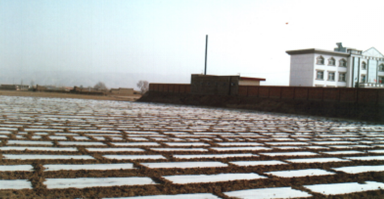 民和提供土工布价格