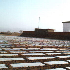 格尔木生产三防薄膜哪家好